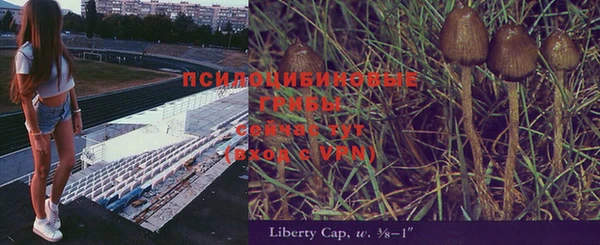 прущая мука Гусев