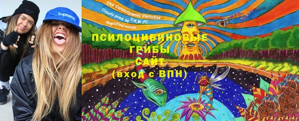 кокс Гусь-Хрустальный
