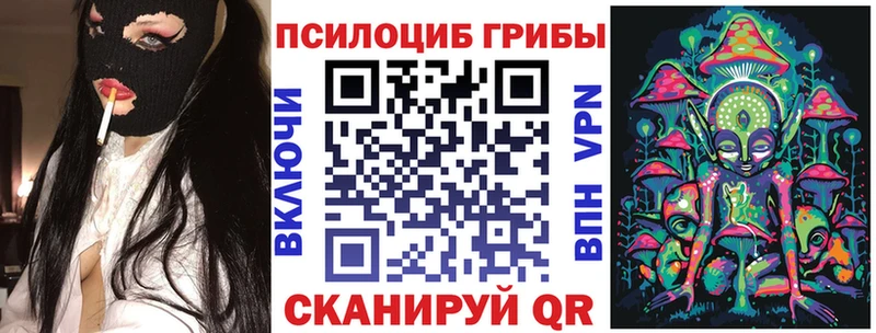 Псилоцибиновые грибы MAGIC MUSHROOMS  продажа наркотиков  Усть-Катав 