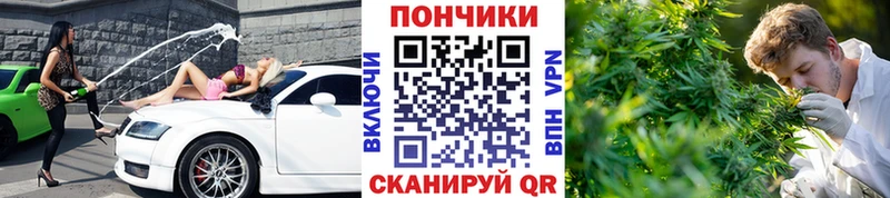 Бошки марихуана OG Kush  Усть-Катав 